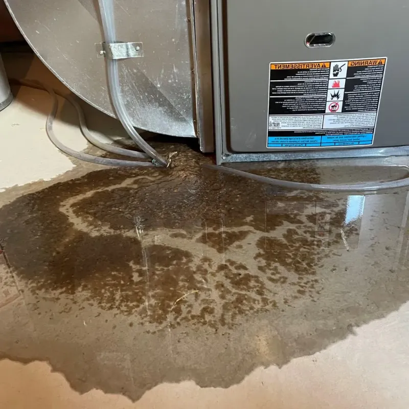 Pipe Burst and Leak Restoration in Pawtucket, RI